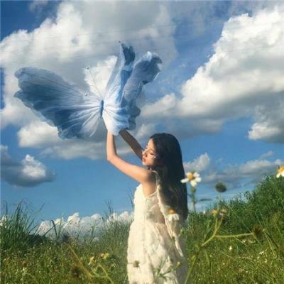 津门飞鹰